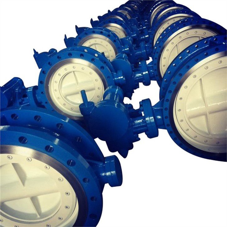 Graphite butterfly valve  (6)
